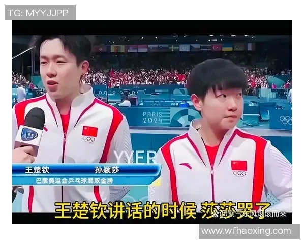 乒乓球传奇：见证杭州乒乓球队逆袭之路的奋斗与荣耀