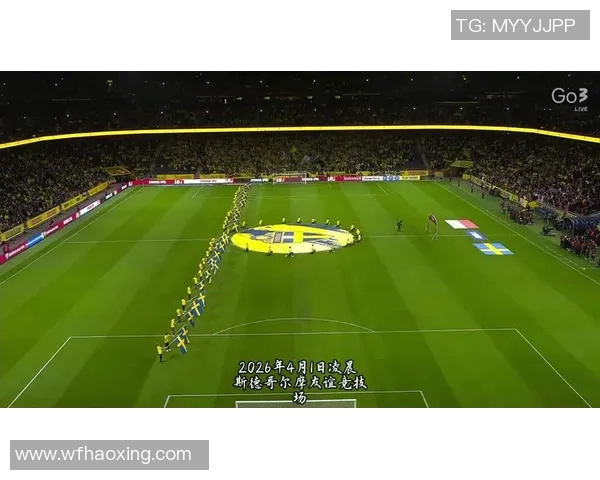 挪威与瑞典友谊赛精彩对决球迷期待两国足球的巅峰对抗