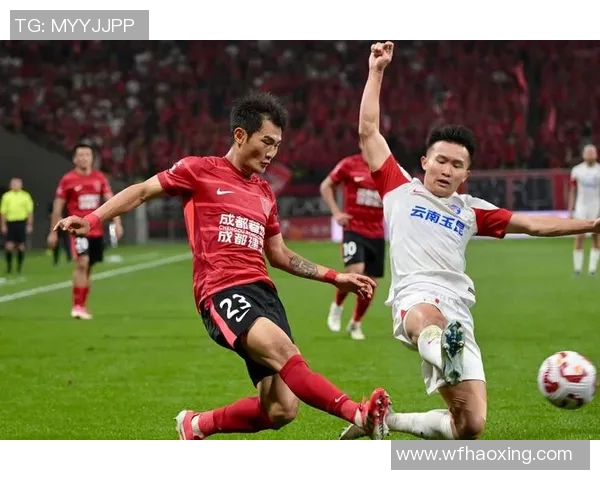 成都篮球队状态变革引发热议球迷期待新赛季表现提升MBA