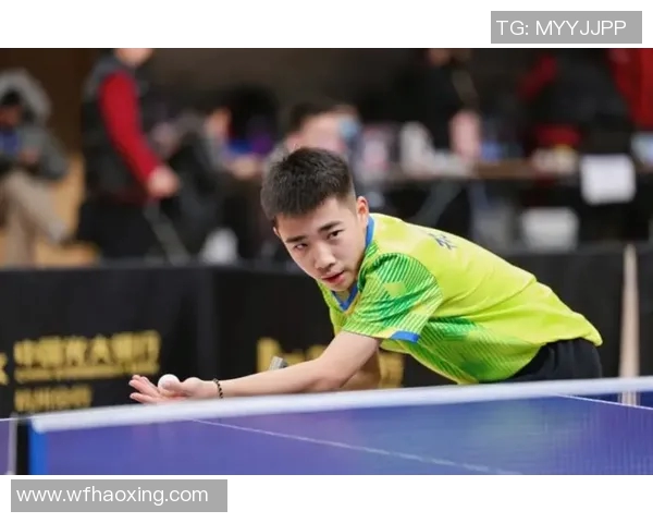 杭州乒乓球队实力分析与发展潜力探讨全面解读 杭州乒乓球队实力分析与发展潜力探讨全面解读