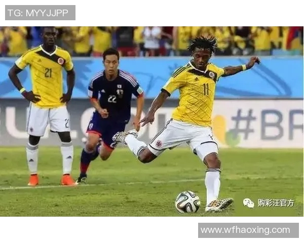 竞彩008法国对冰岛赛事分析及投注建议全方位解读