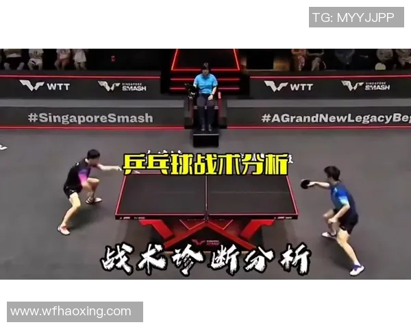 乒乓球技艺的进化探讨：杭州乒乓球队如何实现中路战术的突破与创新