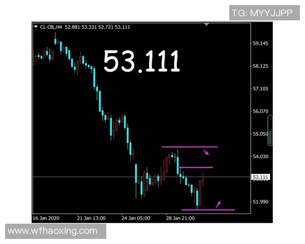 JDG在CSGO比赛中的控制策略分析与得失总结