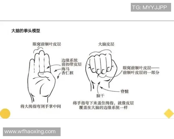重庆飞盘队心理素质分析与提升策略探讨