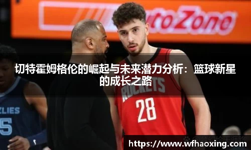 im电竞·电子竞技平台