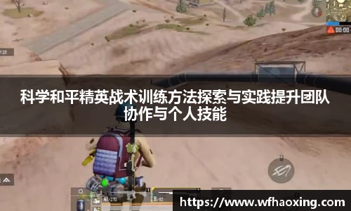 im电竞|官网