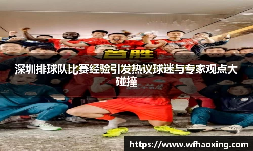深圳排球队比赛经验引发热议球迷与专家观点大碰撞
