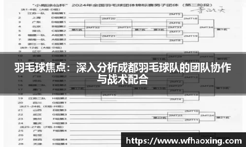 羽毛球焦点：深入分析成都羽毛球队的团队协作与战术配合